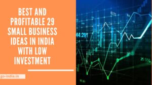 business ideas in india for beginners with low investment