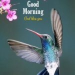 good morning flower and bird