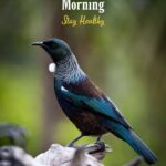 good morning stay healthy bird image