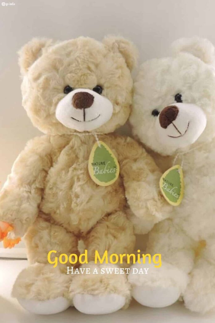 100+ Cute Good Morning Teddy Bear Images [ Latest Update ]