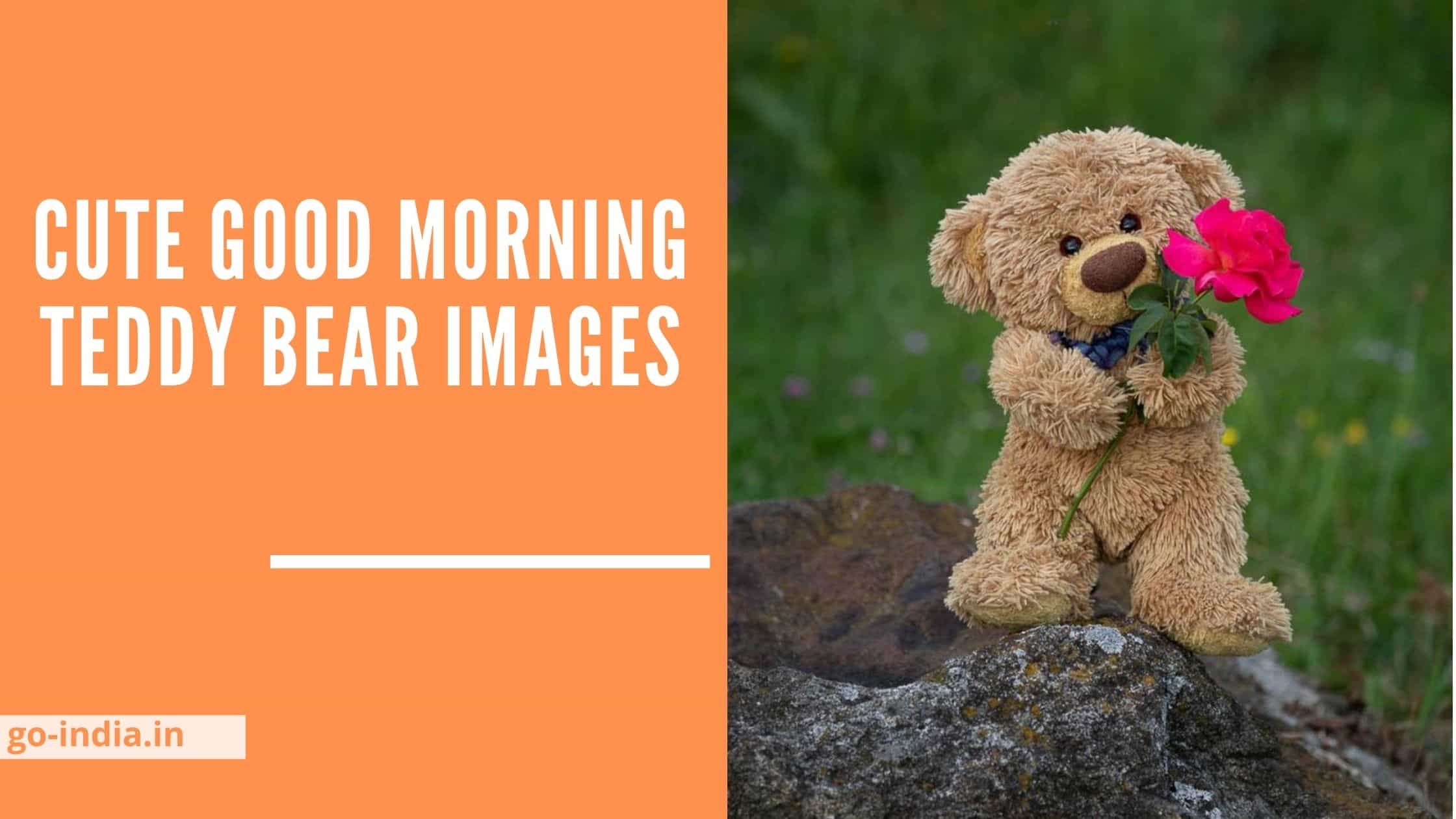 Cute Good Morning Teddy Bear Images