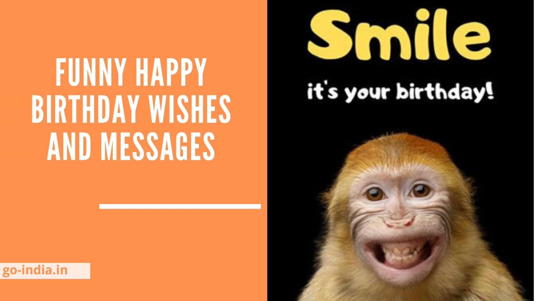 funny-happy-birthday-wishes-and-messages-50-funny-wishes-to-make