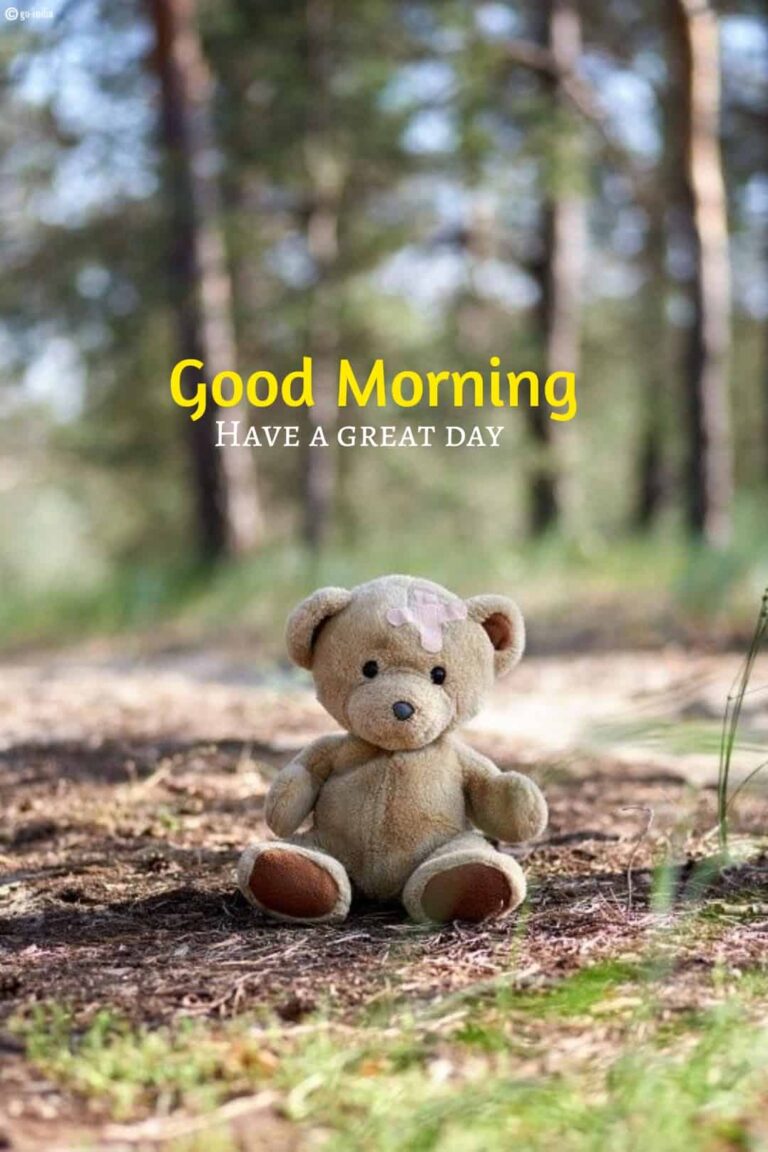 Good morning teddy bear images hd