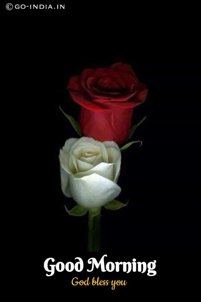 good morning god bless you with white and red rose image for loved one