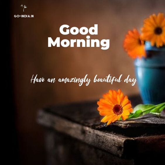 good morning have a nice day wallpapers