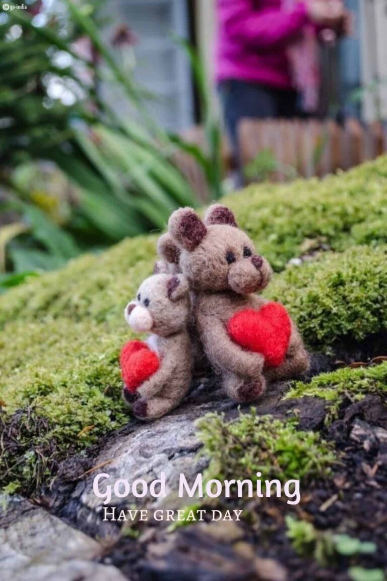 good morning teddy bear love