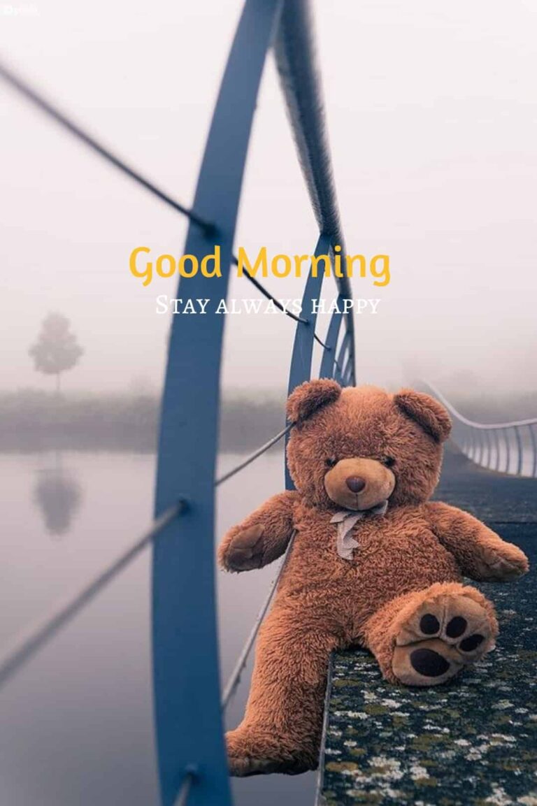 teddy bear good morning photo