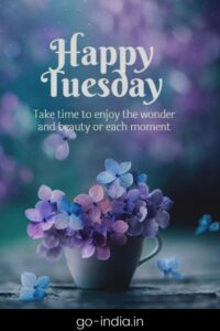 Happy Tuesday Wallpaper and Images