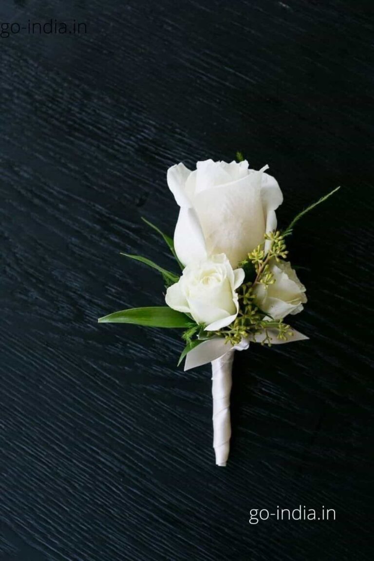 a beautiful white rose lying on the ground