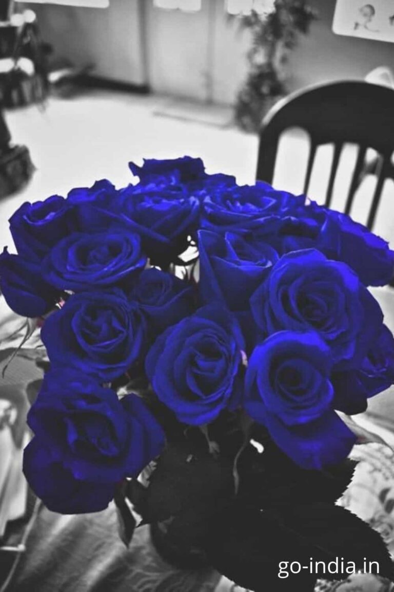 a blue rose bouquet wallpaper
