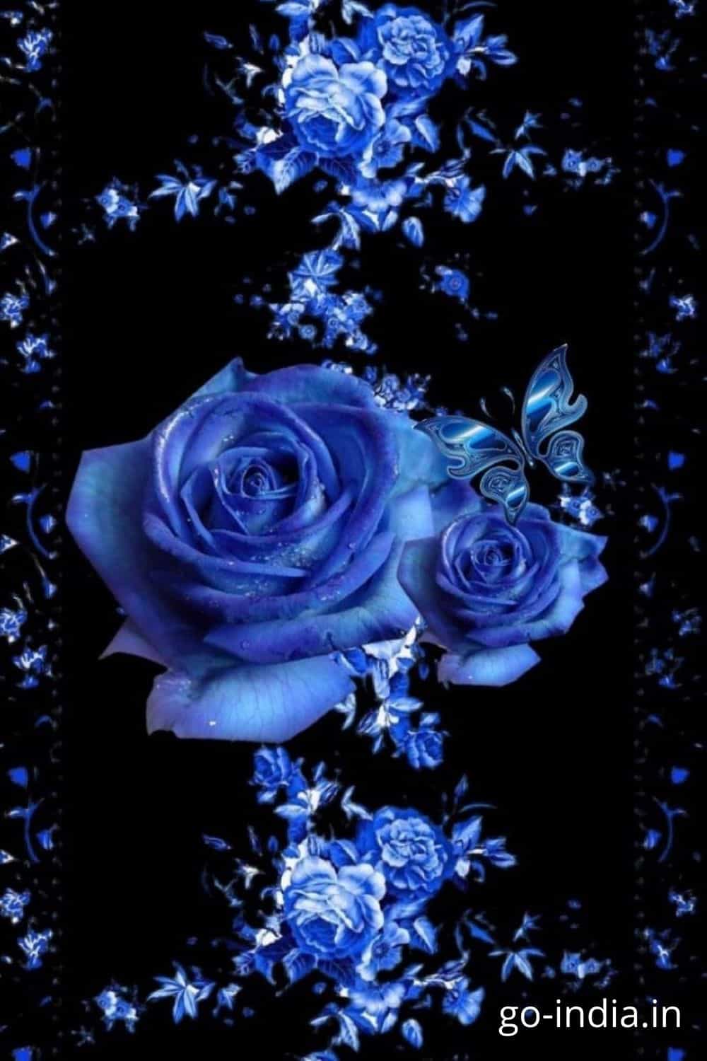 150+ Best Blue Rose Wallpaper, Images and Photos : For a Perfect Romantic Bond